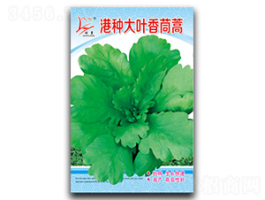 �۷N���~-����N��-�}�ʷN�I