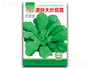 �۷N���~����-����N��-�}�ʷN�I