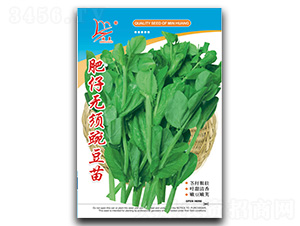 ���Пo��㶹��-�㶹��N��-�}�ʷN�I