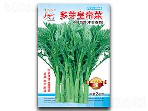 ��ѿ�ʵ۲�-����N��-�}�ʷN�I