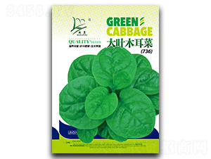 ���~ľ���ˣ�736��-ľ���˷N��-�}�ʷN�I