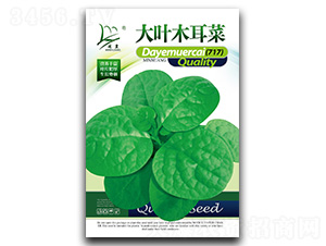 ���~ľ���ˣ�717��-ľ���˷N��-�}�ʷN�I