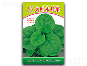 ���~ľ����-ľ���˷N��-�}�ʷN�I