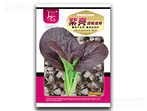 ��������Ͳ�-�Ͳ˷N��-�}�ʷN�I