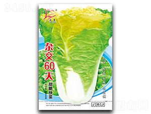 �s��60��-��˷N��-�}�ʷN�I