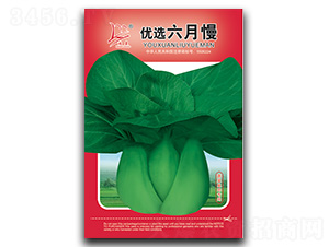 ���x������-��˷N��-�}�ʷN�I