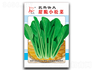 ���С�ɲ�-�ɲ˷N��-�}�ʷN�I