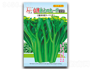 �_������ľ�һ19�����-���ķN��-�}�ʷN�I