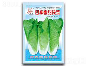 �ļ�������-��˷N��-�}�ʷN�I