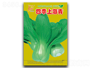 �ļ��Ϻ���-��˷N��-�}�ʷN�I