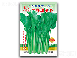 �V�������-���ķN��-�}�ʷN�I