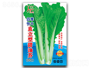 ֱ�������ͽ�-��˷N��-�}�ʷN�I