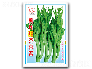 ��������̦-��̦�N��-�}�ʷN�I