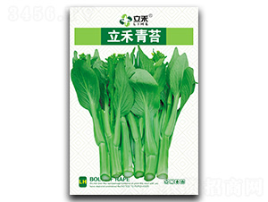 ������̦-��̦�N��-�}�ʷN�I