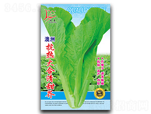 �����������-��˷N��-�}�ʷN�I