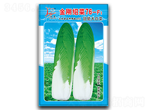 �����B��76-F1-�B�˷N��-�}�ʷN�I