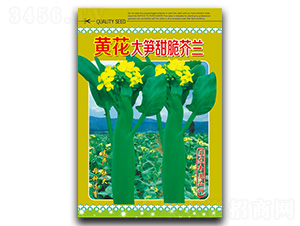 �S����S�����m-���m�N��-�}�ʷN�I