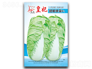 ���������-��˷N��-�}�ʷN�I