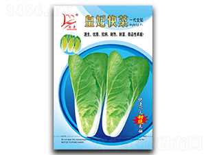 �������-��˷N��-�}�ʷN�I