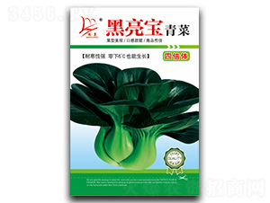 ������-��˷N��-�}�ʷN�I