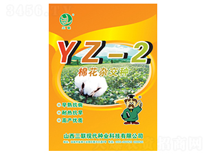 �޻��s���NYZ-2-��