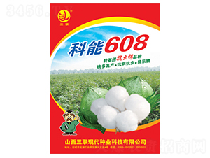 ����608-�޻��N��-��