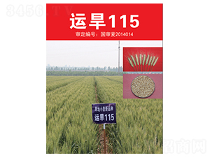 �\��115-С���N��-��