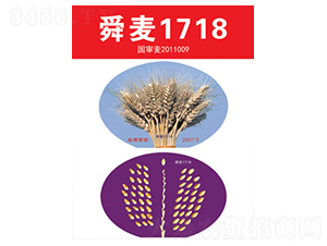 ˴��1718-С���N��-��