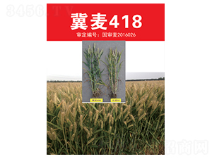 ����418-С���N��-��