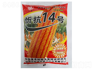 �ÿ�14̖-���׷N��-��