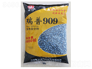 ����909-���׷N��-��