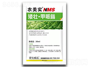 ���ѡ������f-�r����-�滯���h