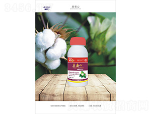 �½��޻������{����-��ʡ��-һ����