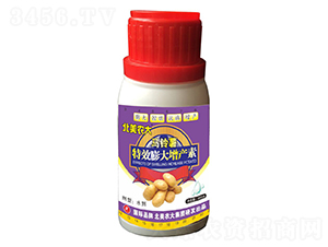 �R�����Ч������a��-�����r��