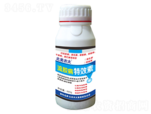 ���z����Ч��-�����r��