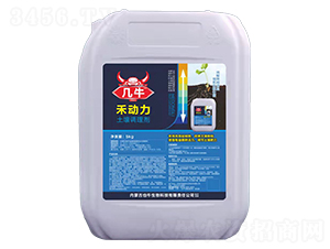 �����{�턩-�̄���-Ҳţ����