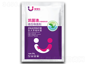 ��ù��������΢�������-�P����-�ڼژ�(l��)