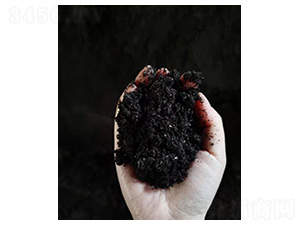 ��̿��-�t�ķ�