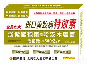 �M�����z����Ч��-�����r��