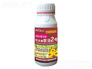 ���տ����à��^������2̖-�����r��