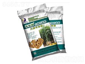 �󽪌��������ЙC��-ƽ����