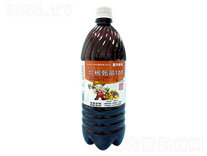 ������-��������120-�ο�ֲ��