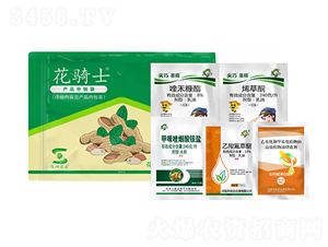 ���������ײ�-���Tʿ-�S�՘�(l��)