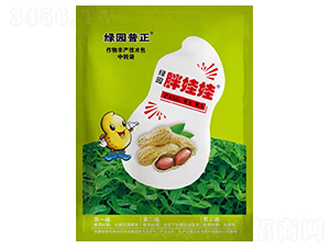 ��������ˎ-�G�@������-�����r�I