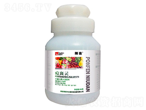 ľ�|�Ǵ����w�}-�����`-���Z�S