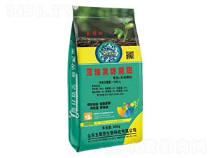 ���{�������ɰl�;���-���\��