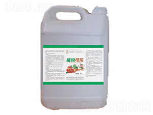 ֲ��ɘ�-��̩��