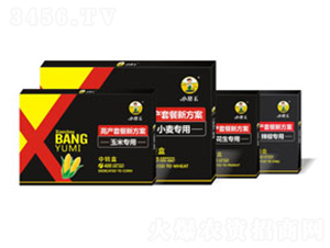 �߮a�ײ��·���-����������