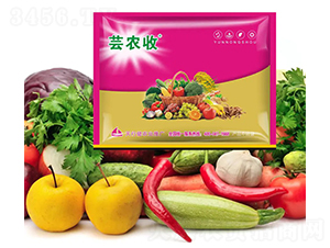 �|�r��-СħŮ-���н�