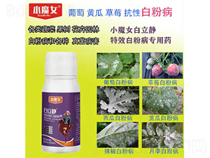 �����o-СħŮ-���н�